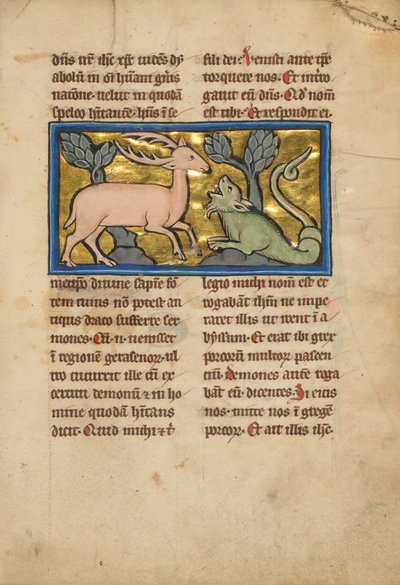 Un cerf devant un serpent dragon - Unbekannt Unbekannt